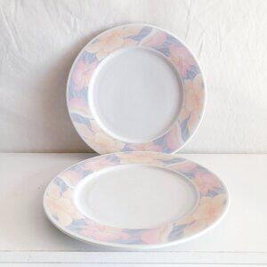 Vintage Pastel Floral Trim Dinner Plates